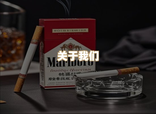 关于蓝帝网